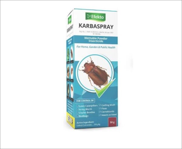 EFEKTO KARBASPRAY 200G