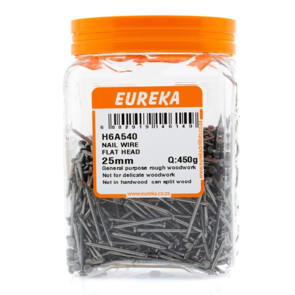 NAIL WIRE FLAT HEAD 25MM 450G