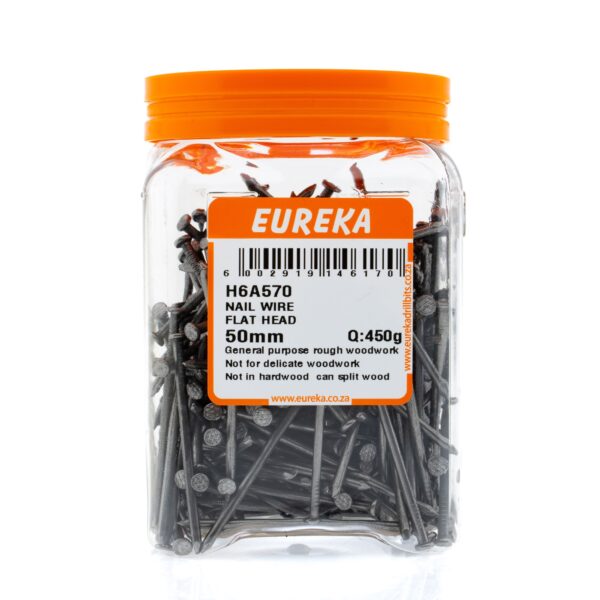 NAIL WIRE FLAT HEAD 50MM 450G