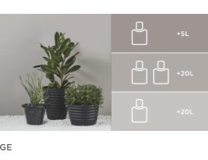 DURAM COLORPRO 80ML - RIDGE